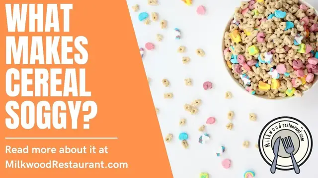 Video thumbnail for What Makes Cereal Soggy? 2 Superb Facts About It That You Should Know