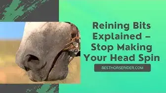 Video thumbnail for Reining Bits Explained – Stop Making Your Head Spin