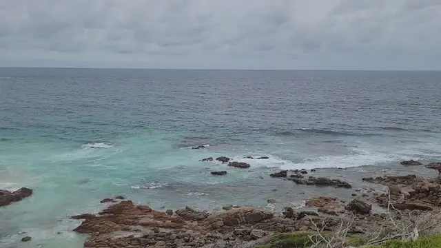 'Video thumbnail for Aquarium Yallingup 2'