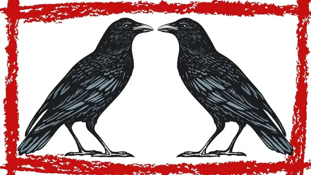 Video thumbnail for 5 Minutes American Crows Calling