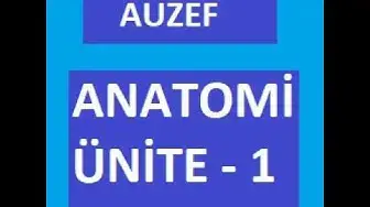 Video thumbnail for Anatomi Ünite 1 Not ve Sorular (ANATOMİYE GİRİŞ VE TERMİNOLOJİ) 25. Sorunun Cevabı :ABDUKSİYON