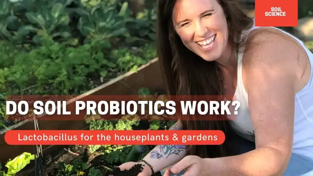 Video thumbnail for Soil Probiotics For Soil Microbe Health. Does Lactobacillus For Houseplants & The Garden Work?