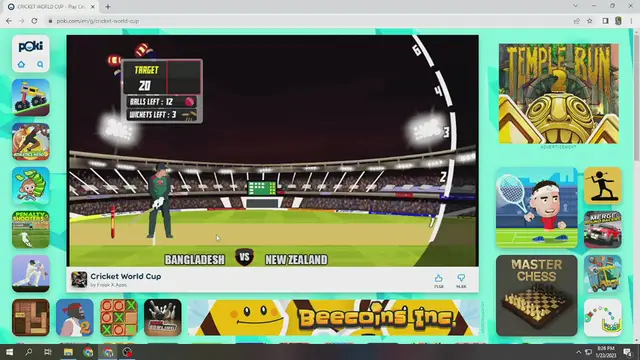 Video thumbnail for game cricket sets