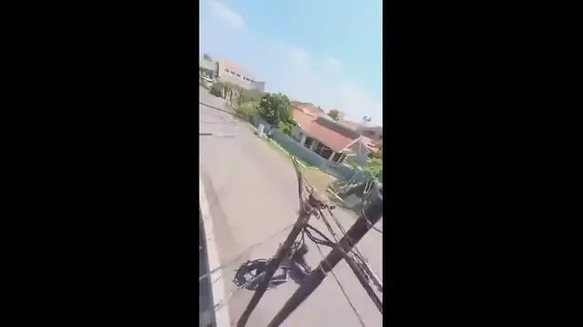 'Video thumbnail for Parrot Flies Away with Mobile Phone'