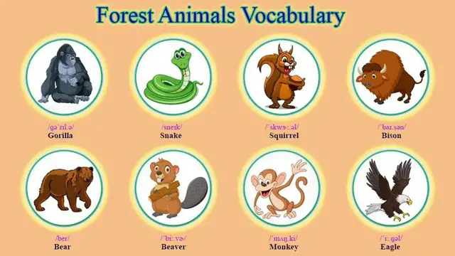 Video thumbnail for Rainforest Animals Vocabulary | List of Animals in the Wild
