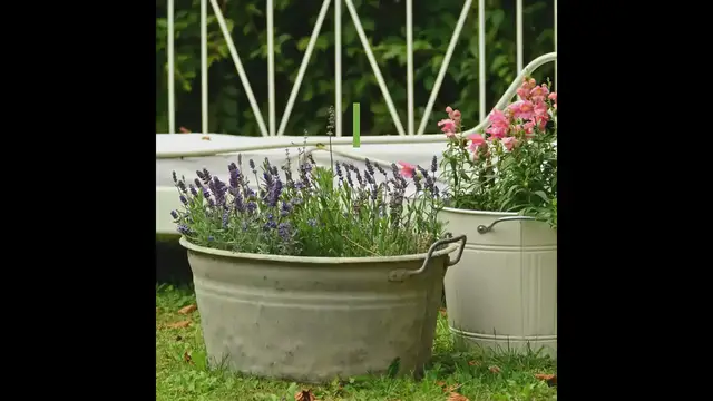 Video thumbnail for 10 Best DIY & Cheap Container Vegetable Gardening Ideas Anyone Can Use