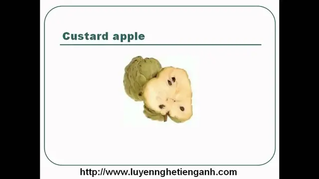 Video thumbnail for Learn English Vocabulary Through Pictures - Topic - Fruits Lesson 03