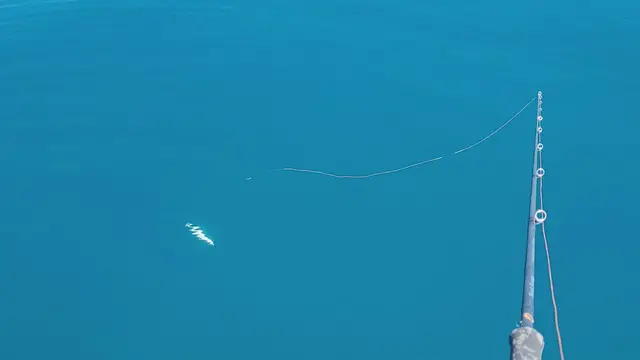 Video thumbnail for How to work a squid jig