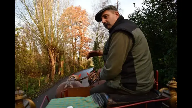 Video thumbnail for Kutschfahrt Abenteuer in Monheim am Rhein: Durch die Urdenbacher Kämpe