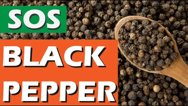 Video thumbnail for Resepi Sos Lada Hitam paling sedap / Black Pepper Sauce