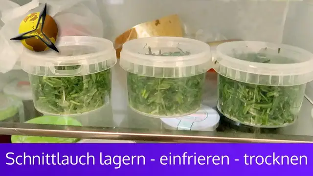 Video thumbnail for Schnittlauch lagern - einfrieren - trocknen