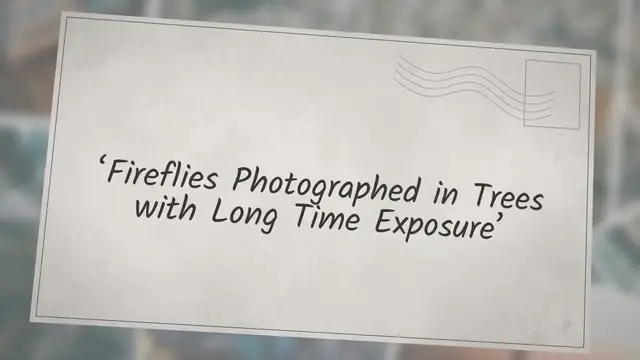 Video thumbnail for ‘Fireflies Photographed in Trees with Long Time Exposure’