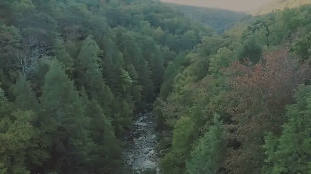 Video thumbnail for Guided Meditation | White Light for Healing Alignment & Revitalisation