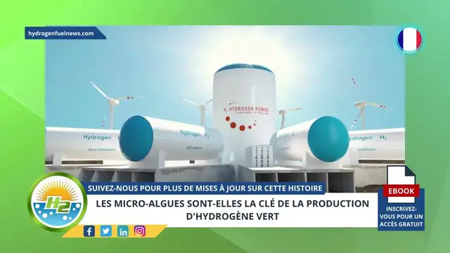 Video thumbnail for [French] Are micro-algae the key to green hydrogen production?