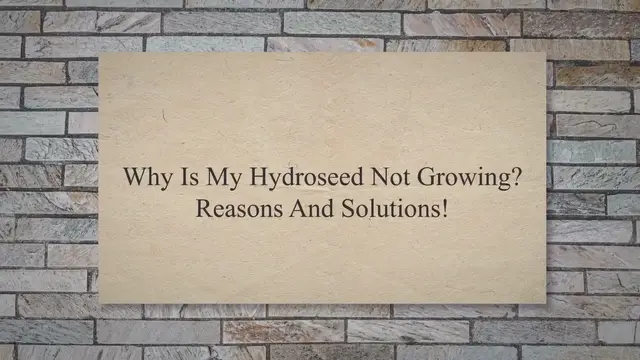 Video thumbnail for Why Is My Hydroseed Not Growing? Reasons And Solutions!