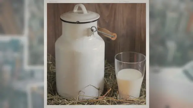 Video thumbnail for Do Cows Have to Be Pregnant in Order to Produce Milk?