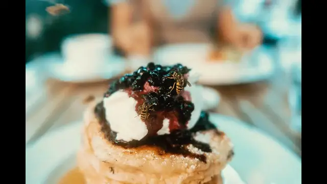 'Video thumbnail for What to expect when you have a patio brunch in Toronto in September - WASPS!'