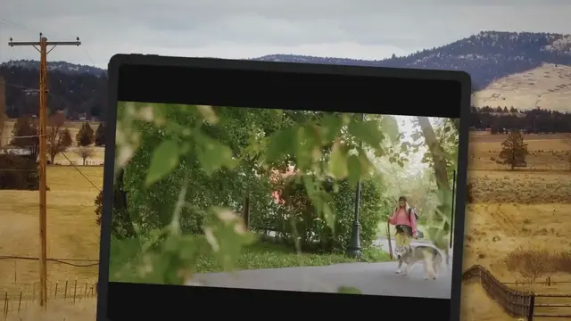 Video thumbnail for Husky On The Brink Of Death Gets Rescued And Given A Second Chance At Life