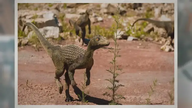 Video thumbnail for Could Dinosaurs Swim?