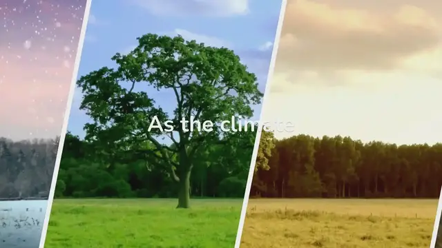 Video thumbnail for Animal Behavioral Adaptations