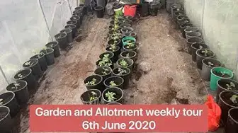 'Video thumbnail for ✅ Garden & Allotment Weekly Tour 🌿✨ | Progress, Updates & Insights – June 6th 2020 🌱🏡'