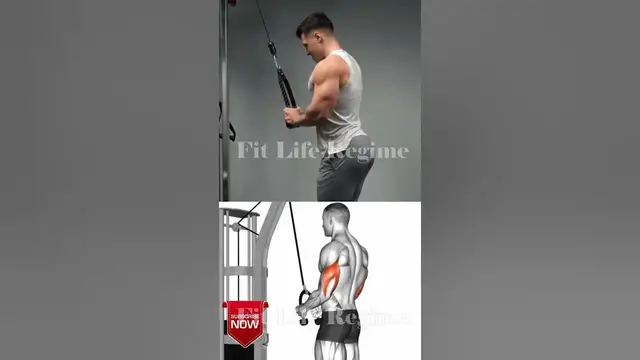 Video thumbnail for The Best Triceps Exercises for Greater Growth