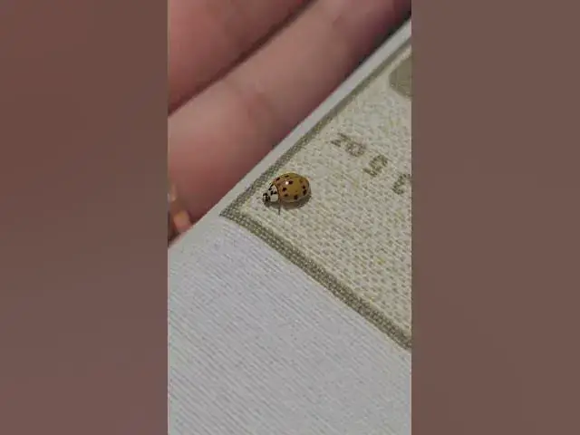 Video thumbnail for Cute ladybug😍😘🥰#shorts