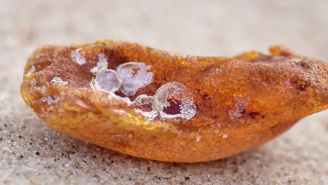 'Video thumbnail for Things Found At The Bottom Of The Baltic Sea'