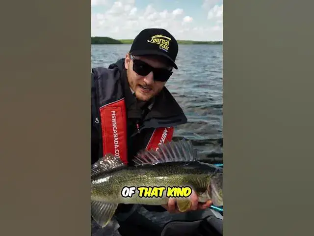 'Video thumbnail for Big Fly-Out Walleye! #fishing #fishncanada #floatplane #walley #walleyefishing #fish'