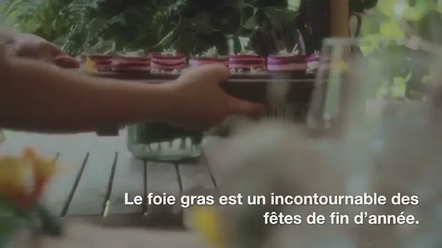 Video thumbnail for FOIE GRAS MAISON : CONSEILS ET RECETTES !