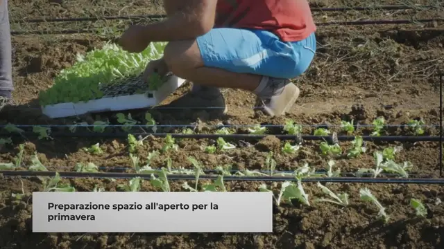 'Video thumbnail for Gardening'