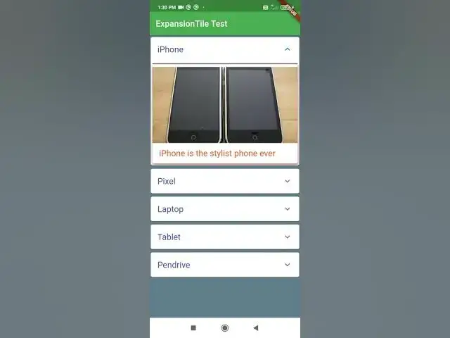 Video thumbnail for Dynamic ExpansionTile expandable List view.