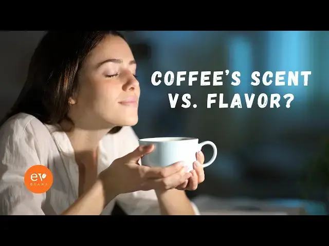 Video thumbnail for Coffee's Greatest Mystery: Smell vs. Taste Explained