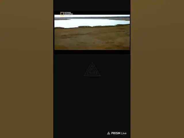 Video thumbnail for غابات السفانا