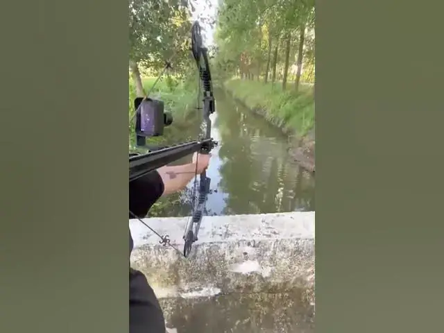 Video thumbnail for Take my money