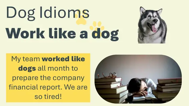 Video thumbnail for Work Like a Dog Meaning | Learn This Common English Idiom About Working Hard