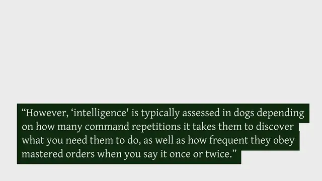 Video thumbnail for The 15 smartest and most intelligent dog breeds (with pictures!)