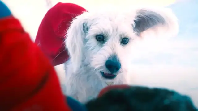 Video thumbnail for Every Krypto The Superdog Power Explained