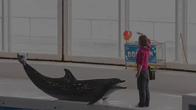 Video thumbnail for 梅雨のお出かけにもおすすめ！雨でも楽しめる関東のスポット11選