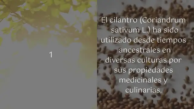 Video thumbnail for Cómo el té de cilantro puede ser tu aliado contra el colesterol
