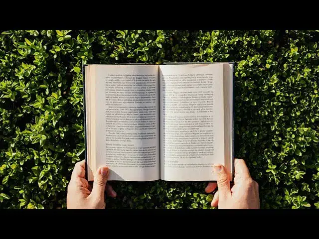 Video thumbnail for ¿Por qué leer Cien años de soledad? Introducción al curso