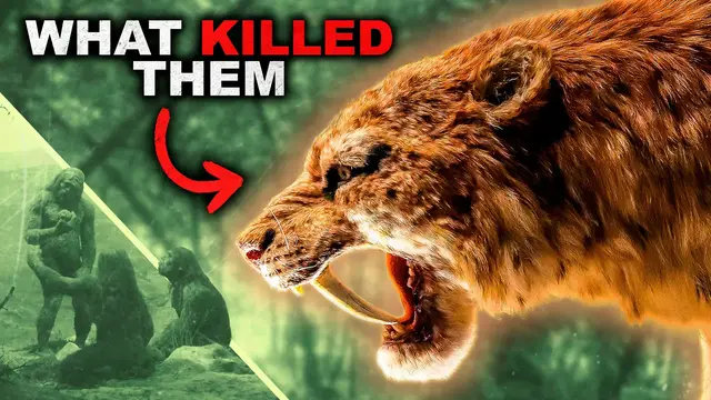 Video thumbnail for The Reason Why Saber-Toothed Tigers Went Extinct