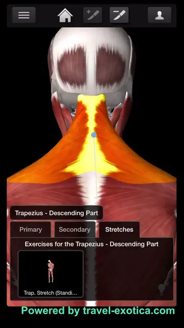 'Video thumbnail for Bodybuilding - Shoulders - Trapezius Workouts'
