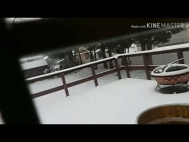 Video thumbnail for Happy snow day 2019.