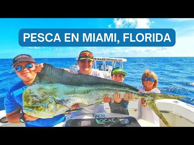 Video thumbnail for Pesca en Miami, Florida: Una Experiencia Única en las Aguas del Atlántico