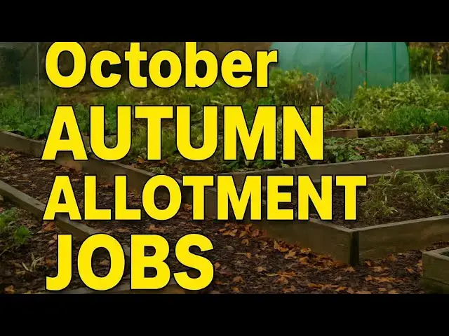 'Video thumbnail for ✅ October Allotment Jobs 🍂🌱 | Essential Autumn Tasks for a Productive Garden'