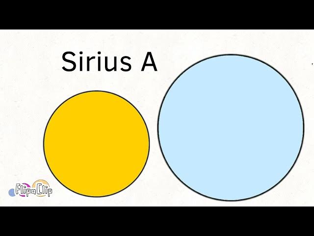 Video thumbnail for FlipaClip Universe Size Comparison