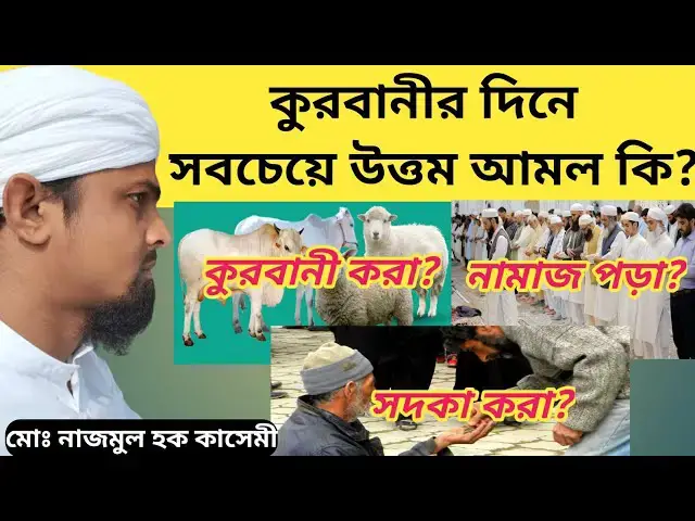 'Video thumbnail for কুরবানীর দিনে আল্লাহ্ সবচেয়ে বেশি কি আমল পছন্দ করেন? কুরবানীর দিনের উত্তম আমল কি?'