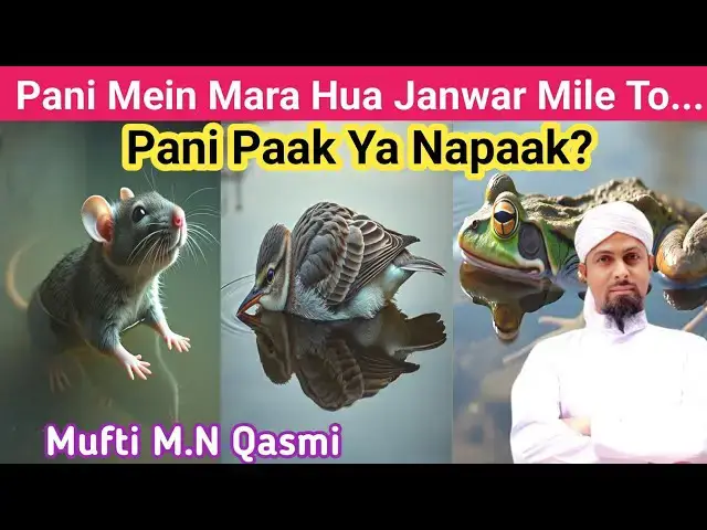Video thumbnail for Agar Pani Mein Mara Hua Janwar Mile To Pani Kab Napaak Hota hai? #paknapak