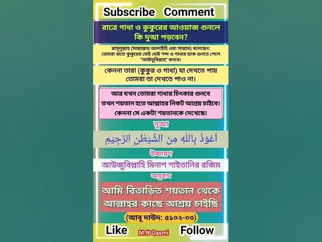 Video thumbnail for রাত্রে গাধা ও কুকুরের আওয়াজ শুনলে কি দুআ পড়বেন? #দুআ #দুয়া #দোয়া #dua #duaas #duaandwazaif#hadis